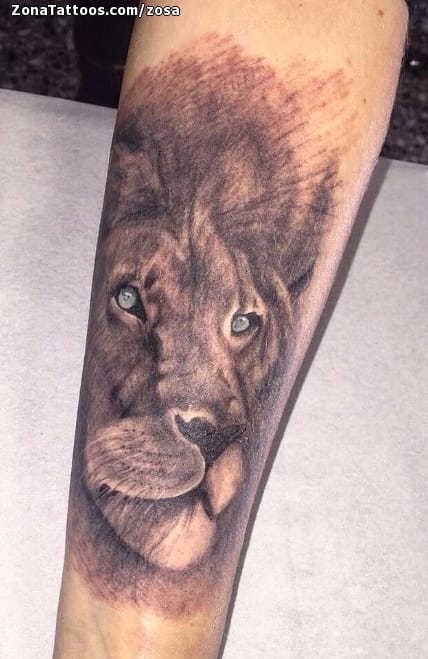 Tattoo photo Lions, Animals, Arm