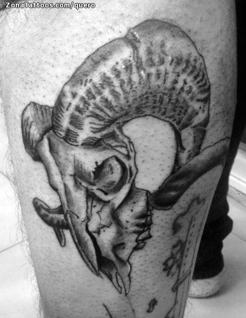 Tattoo of Skulls, Goats, Animals