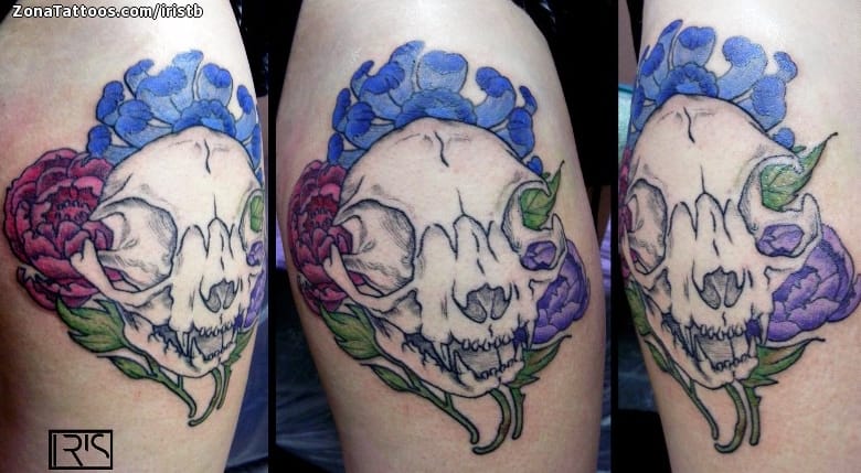 Foto de tatuaje Calaveras, Gatos, Peonías