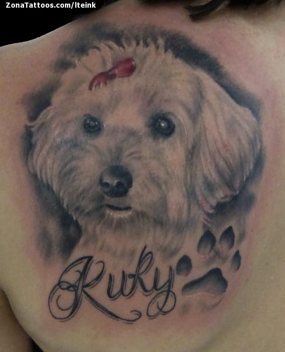 Foto de tatuaje Perros, Animales, Omóplato