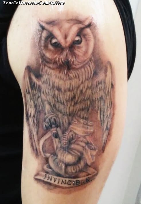 Foto de tatuaje Búhos, Aves, Animales