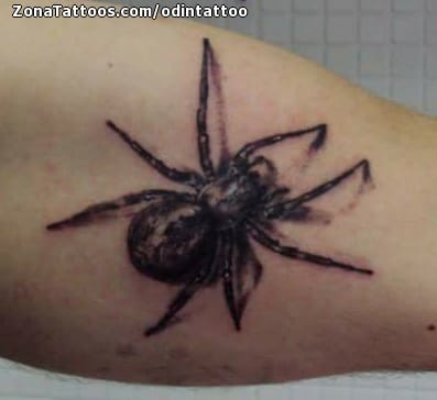 Tattoo photo Spiders, Insects