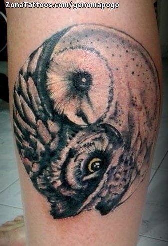 Tattoo photo Yin Yang, Owls, Owls