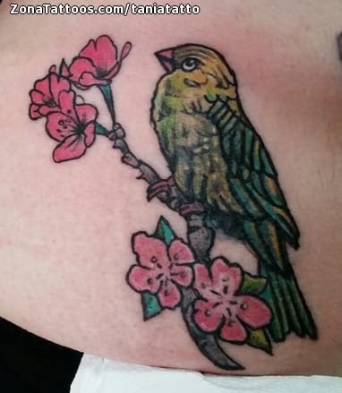 Foto de tatuaje Cerezos, Aves, Animales