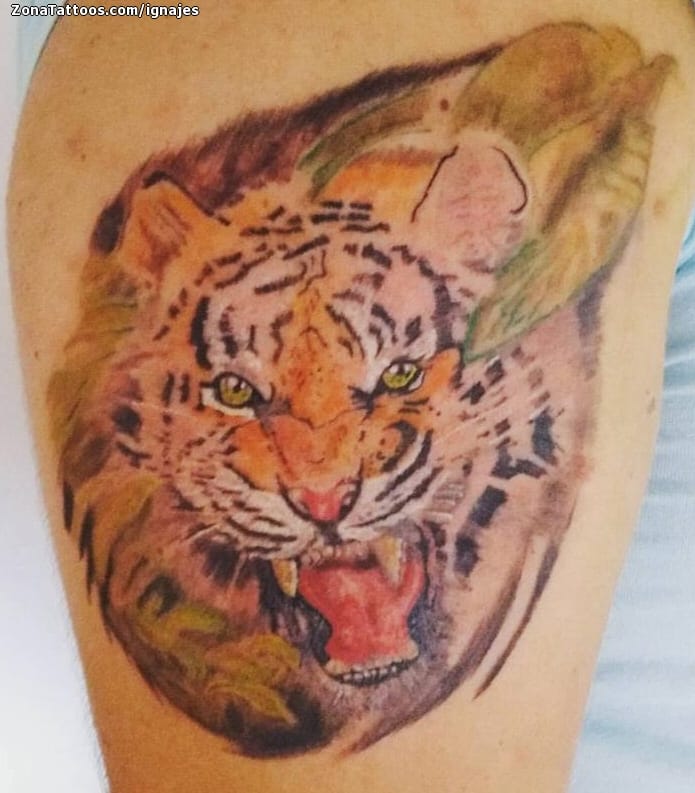 Tattoo photo Tigers, Animals