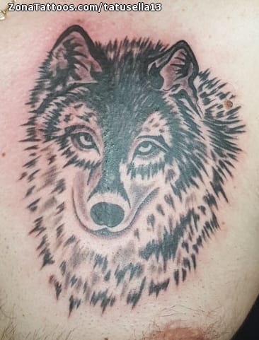 Tattoo photo Wolfs, Animals, Chest