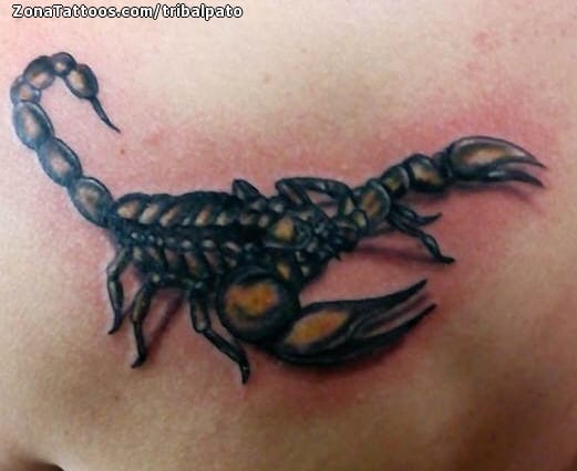 Tattoo photo Scorpions, Insects