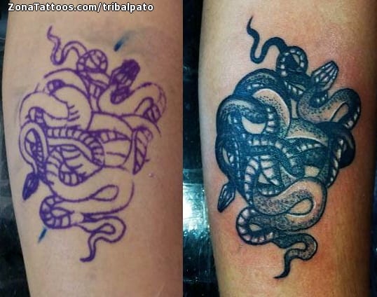 Foto de tatuaje Serpientes, Animales