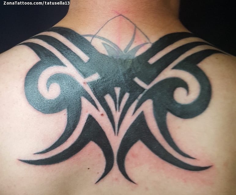 Tattoo of Tribal, Back, Cover Up