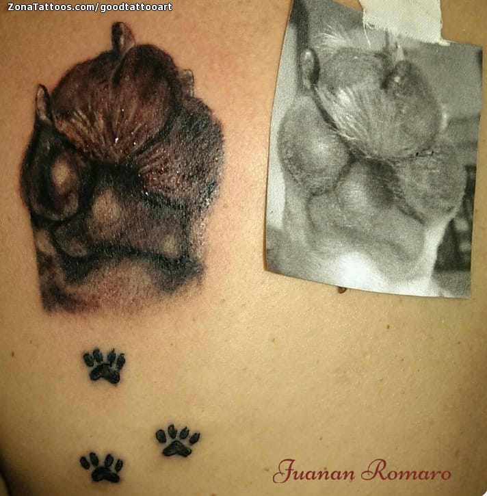 Foto de tatuaje Huellas, Animales