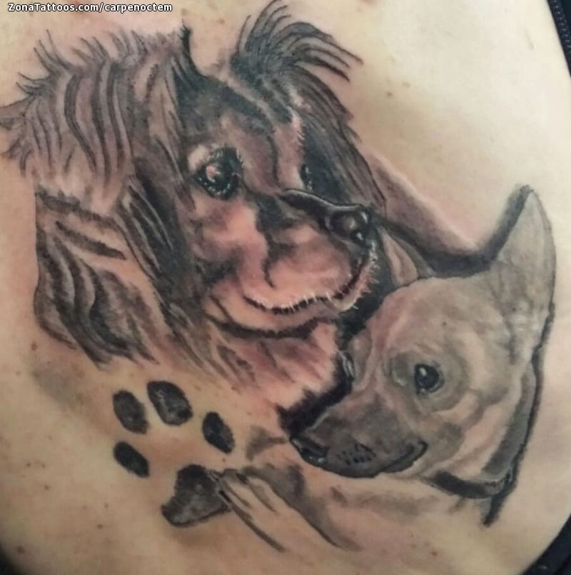 Foto de tatuaje Perros, Animales