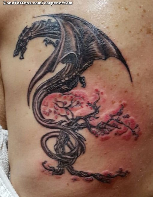 Tattoo photo Dragons, Cherry blossoms, Back