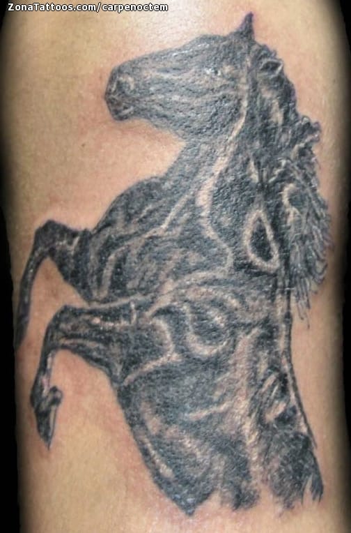 Foto de tatuaje Caballos, Animales