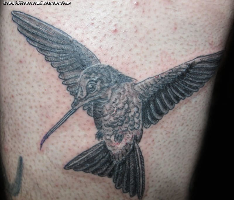 Foto de tatuaje Aves, Colibríes, Pierna