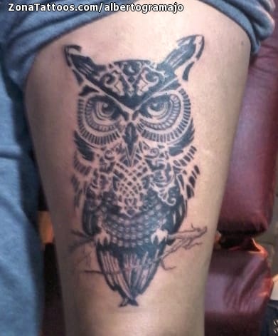 Foto de tatuaje Búhos, Aves, Animales