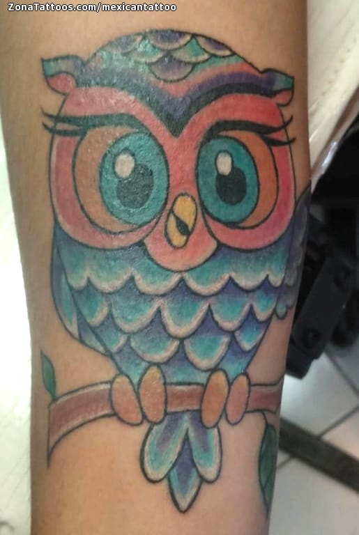 Tattoo photo Owls, Birds, Animals