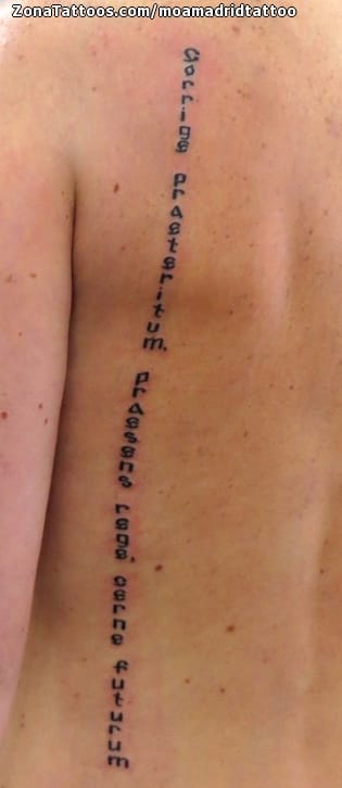 Foto de tatuaje Frases, Letras, Latín