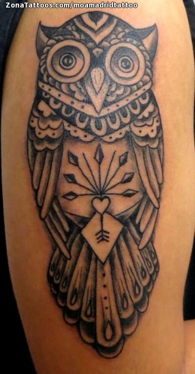 Tattoo photo Owls, Birds, Animals