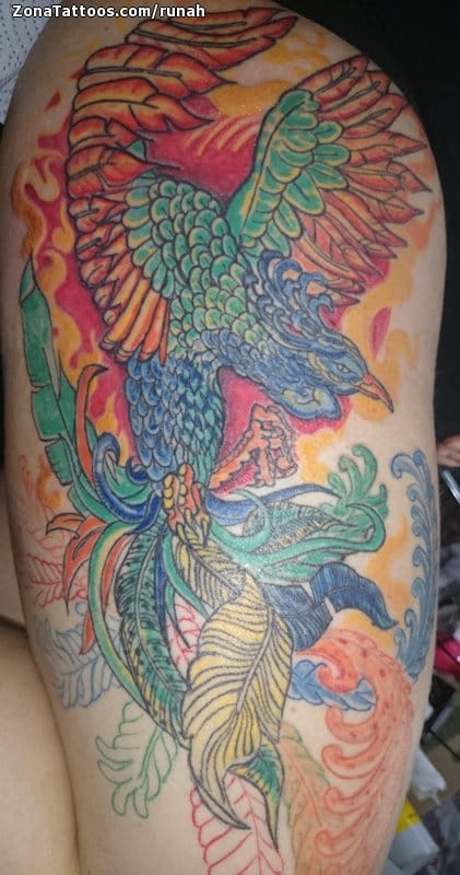 Tattoo photo Phoenix, Fantasy