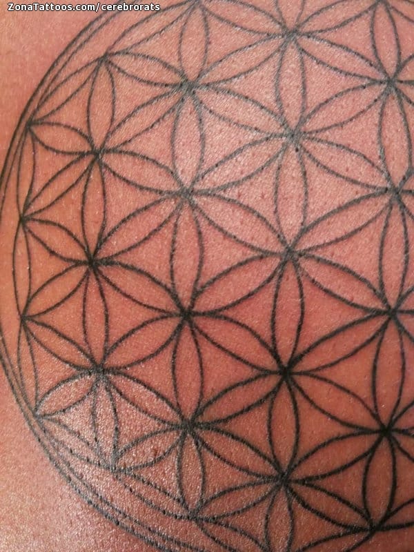 Tattoo photo Geometrics