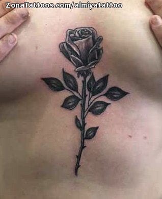 Tattoo of Roses, Chest, Flowers