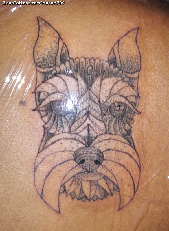 Foto de tatuaje Perros, Puntillismo, Animales