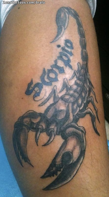 Tattoo photo Scorpions