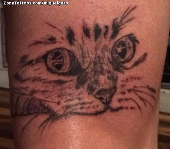 Foto de tatuaje Gatos, Animales