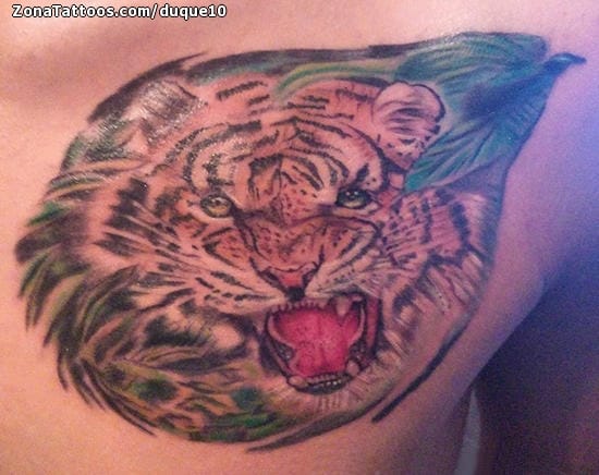 Foto de tatuaje Pecho, Tigres, Animales