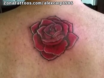 Tattoo photo Back, Flowers, Roses