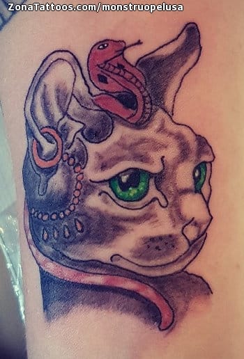 Foto de tatuaje Sphynx, Gatos, Animales