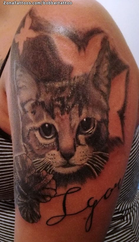 Foto de tatuaje Gatos, Animales