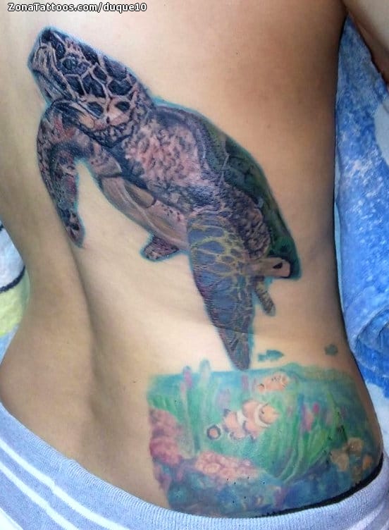 Foto de tatuaje Tortugas, Animales, Espalda