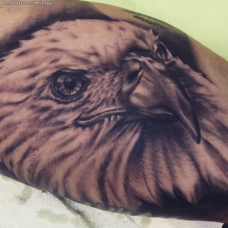 Foto de tatuaje Águilas, Aves, Animales