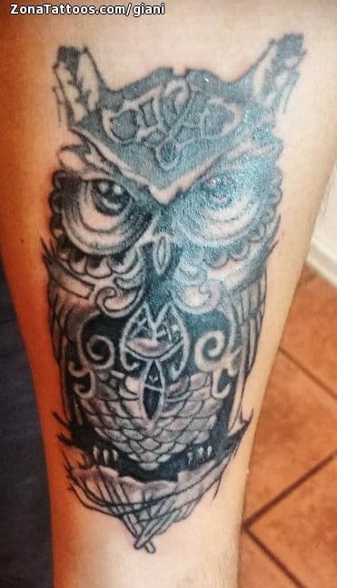 Tattoo photo Owls, Birds, Animals