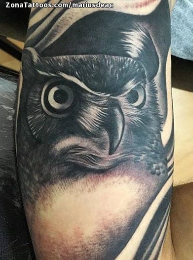 Foto de tatuaje Búhos, Aves, Animales