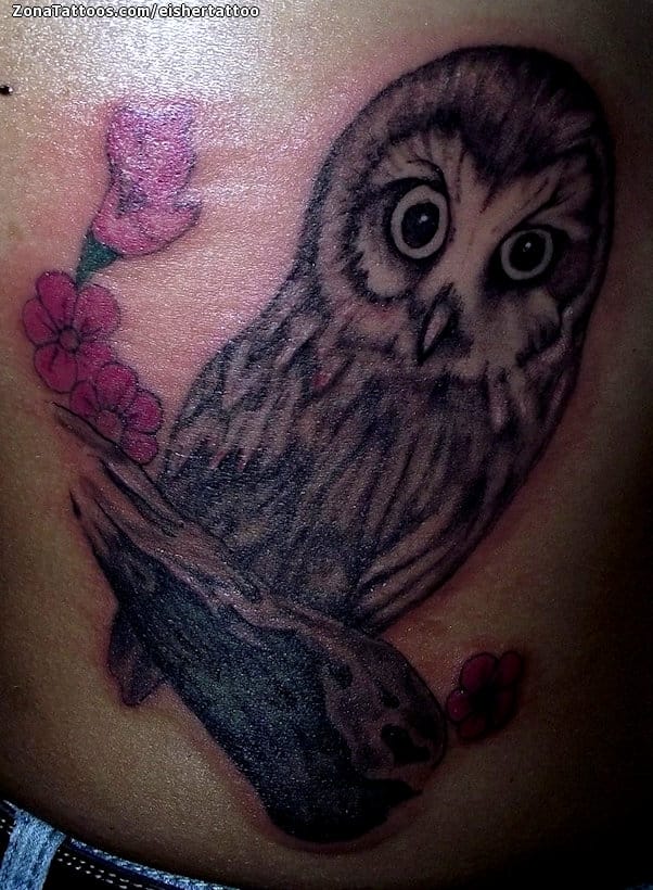 Tattoo photo Owls, Birds, Animals