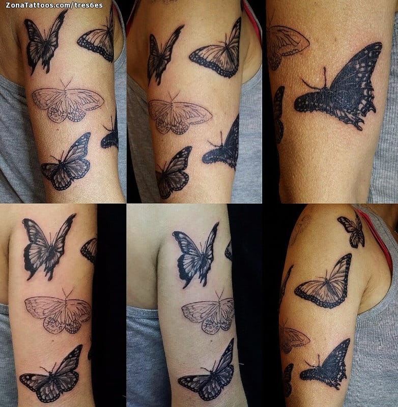 Foto de tatuaje Mariposas, Insectos, Brazo