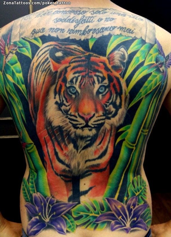 Foto de tatuaje Tigres, Bambú, Flores