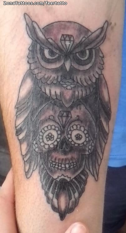 Tattoo photo Owls, Sugar Skull, Birds