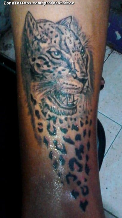 Foto de tatuaje Leopardos, Animales