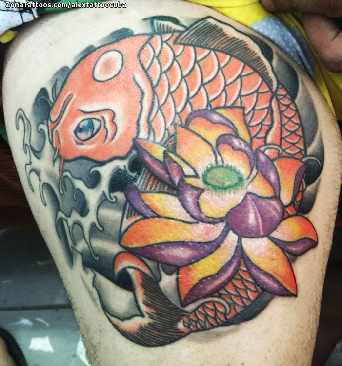 Foto de tatuaje Koi, Lotos, Peces