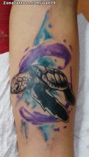 Foto de tatuaje Tortugas, Animales, Manchas