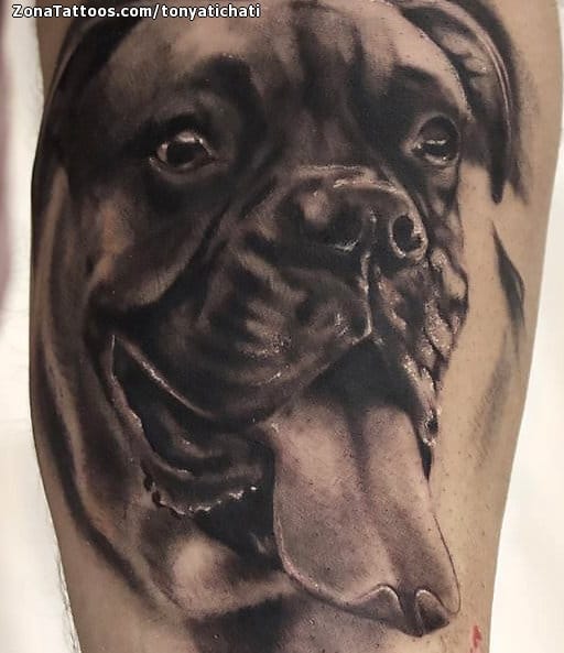 Foto de tatuaje Perros, Animales