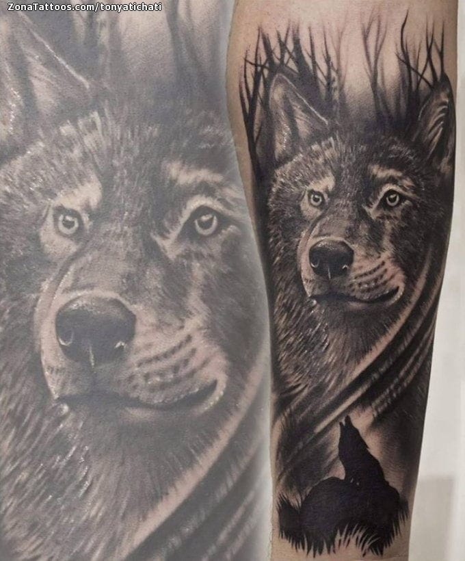 Foto de tatuaje Lobos, Animales