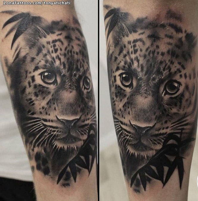 Foto de tatuaje Tigres, Animales