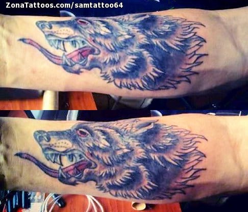 Foto de tatuaje Lobos, Animales