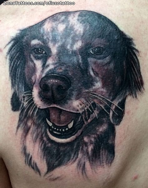 Foto de tatuaje Perros, Animales, Omóplato