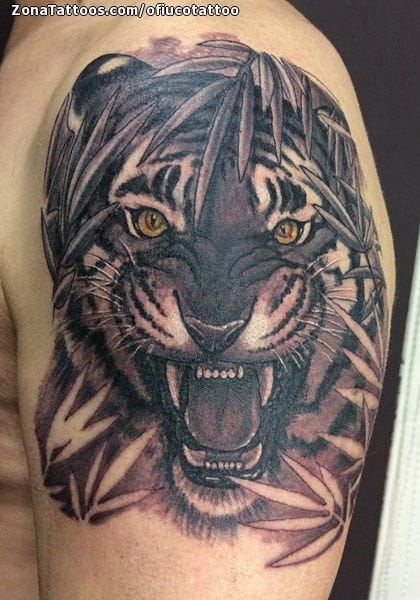 Foto de tatuaje Tigres, Animales, Hombro