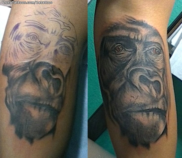 Foto de tatuaje Monos, Gorilas, Animales